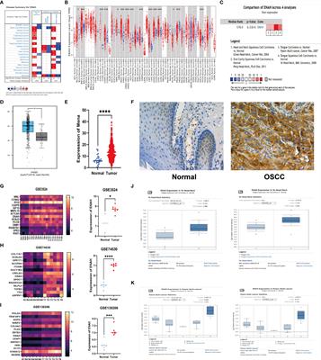 Overexpression of Mena is associated with tumor progression and poor prognosis in oral squamous cell carcinoma via EMT